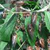 Small_thumb_925213d7cd95e7ad9e29_june1.3