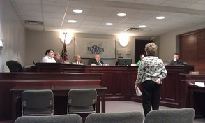Citizen talks to council