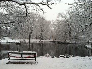 Mindowaskin in snow