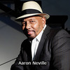 Small_thumb_87dd795f070854db3280_aaron_neville