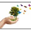 Small_thumb_c80c2277463e44dc844d_earth_day_graphic
