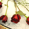 Small_thumb_2bbb0dd301f086ba5165_dsc_0589