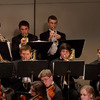 Small_thumb_29510105c249e94fd3a3_brass_section_of_ys