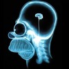Small_thumb_d9c1390937cc374abaf4_brain-on-teenagers