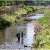 Small_thumb_cbef882025f6c46d1697_rivercleanjd