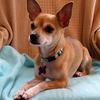 Small_thumb_e1095165de8e05bed556_mel_1_3-18-13