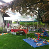 Small_thumb_a36b13b9a511a7a9656d_elisse_glennon_yard_sale
