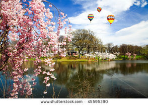 Bloomfest in Branchbrook Park
