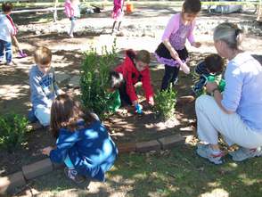 Preschoolers at Temple Sharey Tefilo-Isreal learn to plant in the WonderSpace.