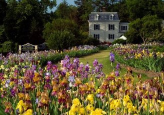 Top_story_761770107b690d483cf1_presby_iris_gardens_by_irene_jeruss_