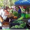 Small_thumb_90b877f7df537d442fcd_farmers_market_pic_cropped