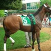 Small_thumb_1578b54e480f48e005bf_monmouth_park