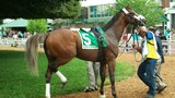 Thumb_1578b54e480f48e005bf_monmouth_park