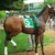 Tiny_thumb_1578b54e480f48e005bf_monmouth_park