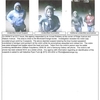 Small_thumb_dddb5c27cf3992e84701_criminals0001