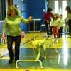 Small_thumb_480d82337c5a148b66de_gino_in_gym