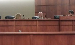Marianne Smith Addresses The Council