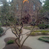 Small_thumb_99bad1da0dfcb50c198a_history_courtyard
