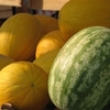 Small_thumb_f551c92d570fa776c87b_cmarket2_ts2