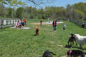 Top_story_7667df94c91155f6b9c6_dsc_0368