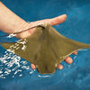 Small_thumb_c57d80fd906eab9c2fd6_dewey_by_nicole_mazewski_turtle_back_zoo