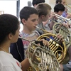 Small_thumb_24c1645774e0663ee491_horns