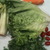Tiny_thumb_2c29e5819c98fc4d3bea_photo-9