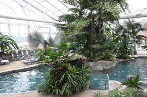 The Biosphere Pool at Crystal Springs Resorts.