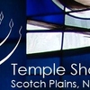 Small_thumb_aa70994aae95e58c09ca_temple_sholom_logo