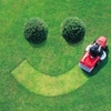 Small_thumb_415c169e509fa212209f_lawncare