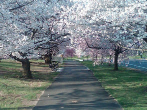 Branch Brook Park