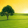 Small_thumb_dd4720474c3560c84133_sun