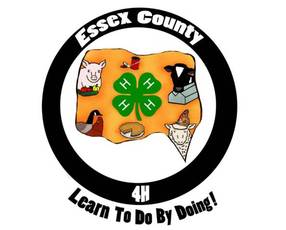 Top_story_b8036615fb15b8e17034_4-h_logo