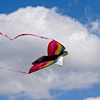 Small_thumb_36d5e2ccc54c34a7dbf4_dsc03140