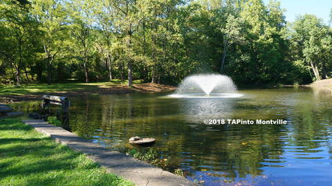 How About A Montville Twp Staycation Tapinto