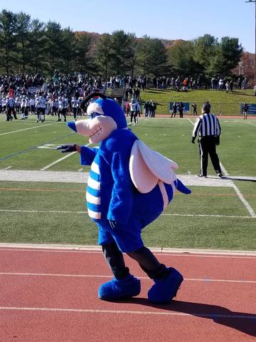 Holmdel Hornets Win Thanksgiving Day Rivalry Football Game Beating