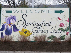 Springfest