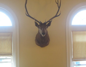 elk lodge