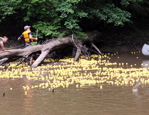 Rubber Ducky Festival