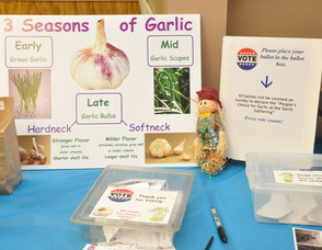 Educational information about Garlic.