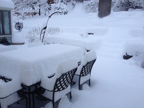 Snow covers Essex County