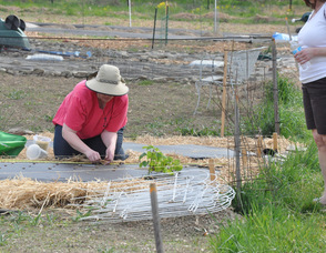 A participant at the community garden spends some time in the garden.