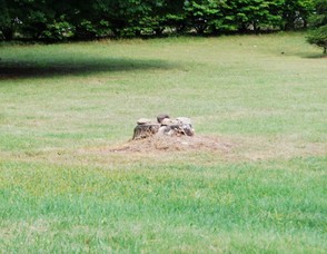 Rock Circles