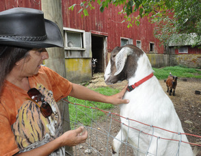 Diane Romano with one of the farm's pet goats.