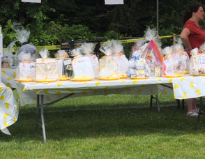 Rubber Ducky Festival
