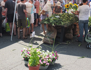Summit Farmers' Market