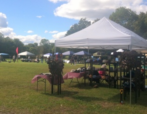Andover Township green team farmer's market