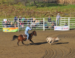 A contestant during the calf roping event.
