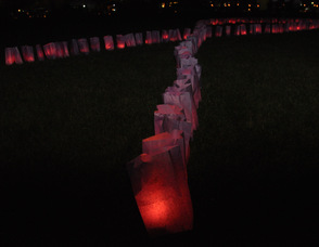 Purple luminarias form a ribbon in the dark.