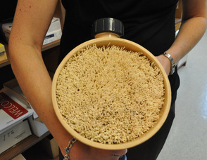 An interior view of the water filter.